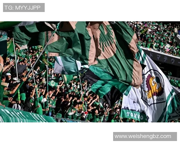 福冈黄蜂对阵金泽塞比分揭晓精彩瞬间回顾与分析